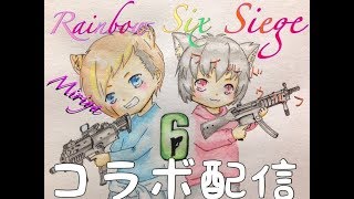 ワイルドウルフ のライブ ストリーム
