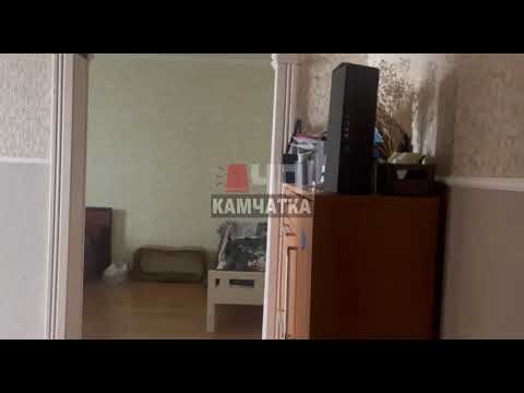 M8.7 Earthquake Strikes Petropavlovsk-Kamchatsky, Russia