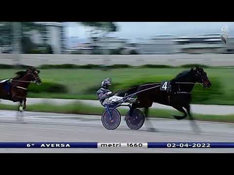 Aversa trotto 2 Aprile 2022 - 6° Corsa