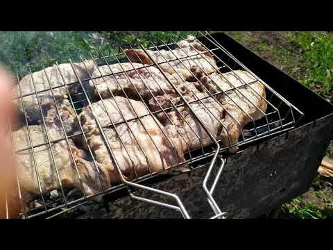 Село Новополянье Чаплыгинскй район Липецкой области. Жарим шашлык!!!