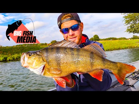 Spinnfischen im Sommer - Fisch auf Fisch - Kleine Köder gegen große Köder