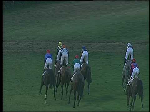 Galoppo 13/07/2016 - 5° corsa