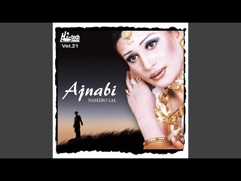 Dil Le Gaya Mera Ik Ajnabi