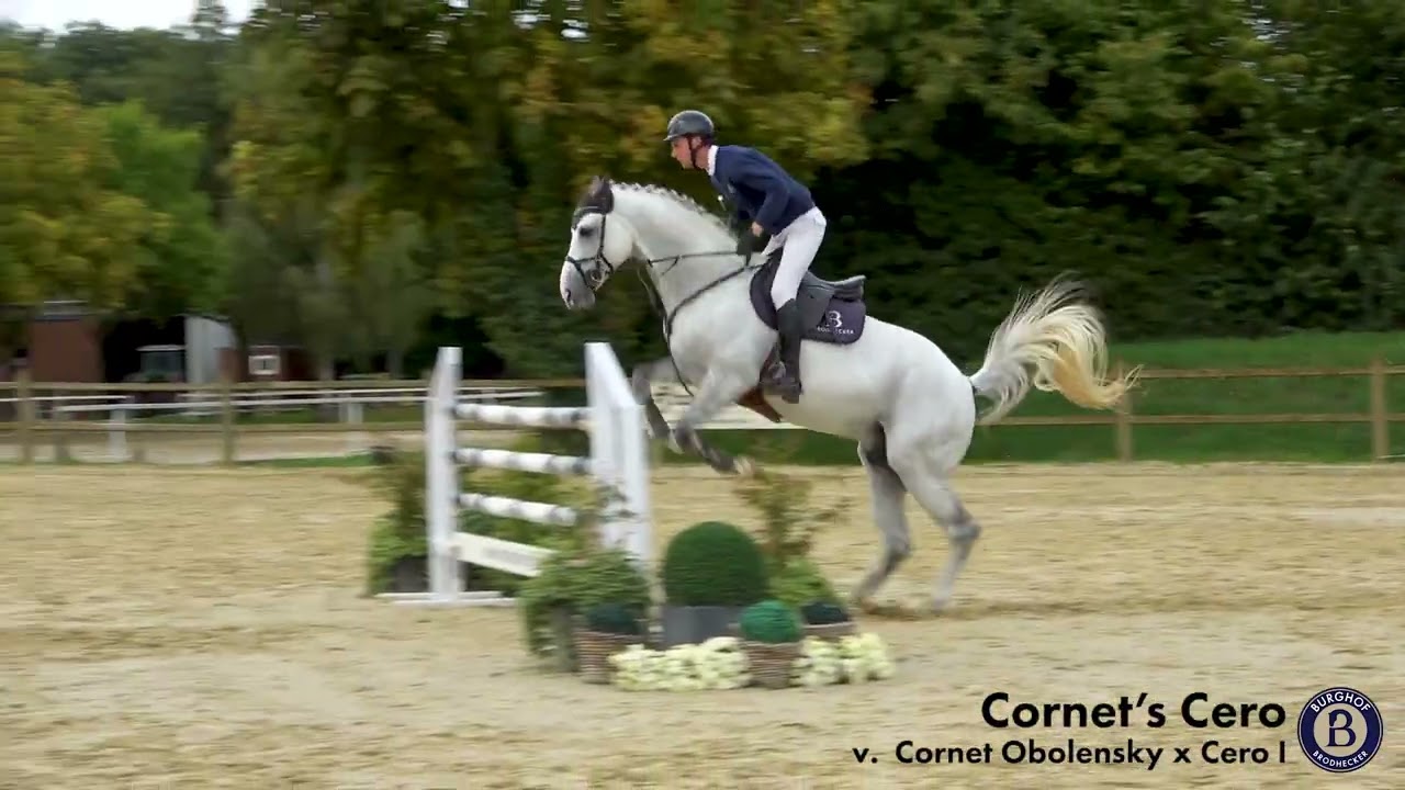 Licensed son of Cornet Obolensky video 1