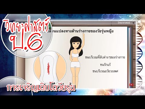 การรักษา homeopathic แรง ความคิดเห็น Cersanit ห้องน้ำขนาดกะทัดรัดพรู s-KO บน-ST-PW s-KO บน-ST-P