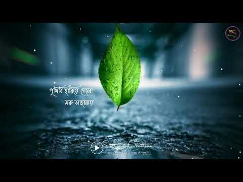 Bengali Sad Song Whatsapp Status Video| Prithibi Hariye Gelo Song Status Video|