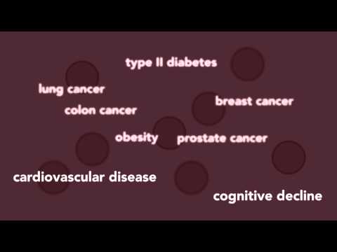 download lagu mp3 mp4 Super Broccoli, download lagu Super Broccoli gratis, unduh video klip Super Broccoli