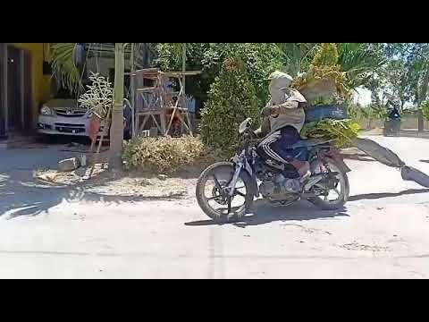 Motogp OB (Ojek bhekoh) asli ngakak part 4 last lap