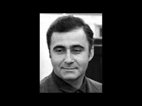 Buss Gyula: Neonfényes Budapest