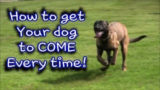 How to have your dog  "COME" every time!