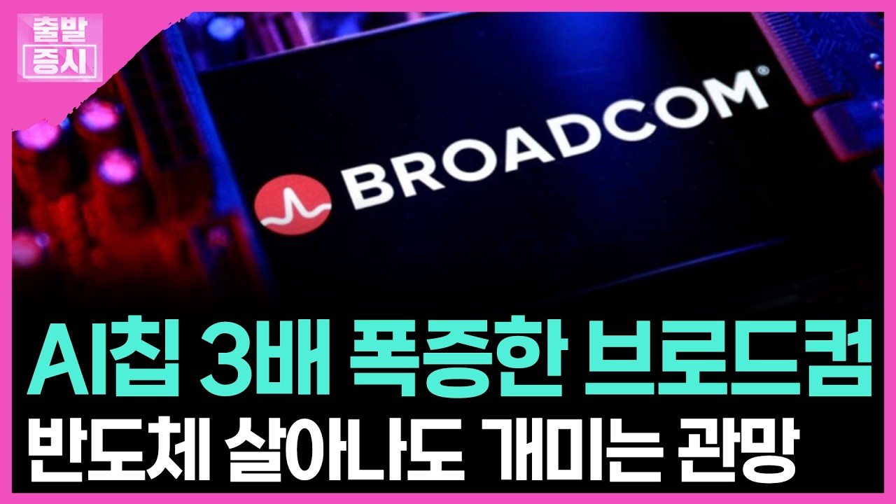 AI칩 3배 폭증한 브로드컴... 반도체 살아나도 개미는 관망 | 박정언 캐스터