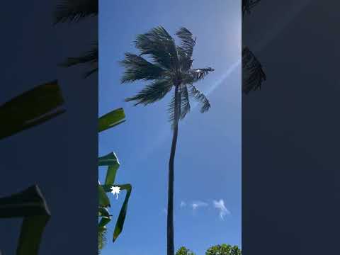 Icaraizinho de Amontada no Ceará