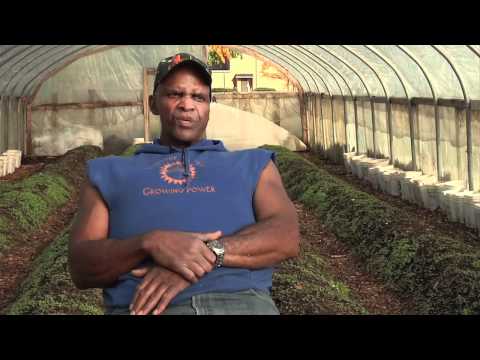 Growing Power - A Model for Urban Agriculture