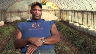 Growing Power - A Model for Urban Agriculture