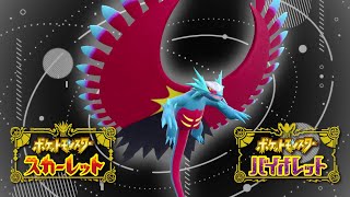 【~171位】3桁耐久『トドロクツキ × カバルドン』ポケモンSV ポケットモンスター スカーレット バイオレット