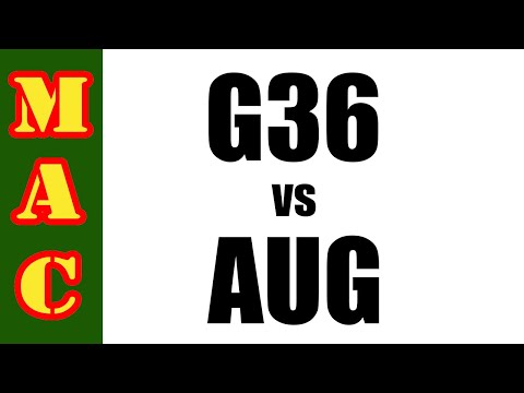 Best Infantry Rifle: G36 vs AUG