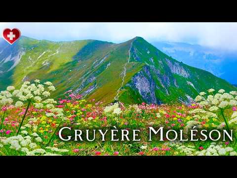 Berg Moléson in Gruyères | Bergbahn und Seilbahn 🇨🇭 Wetterwechsel in den Alpen [4K]
