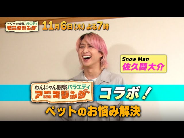 ニンゲン観察モニタリングSP★リベンジ！卓球・水谷隼が変装し街の大会に参戦🈑