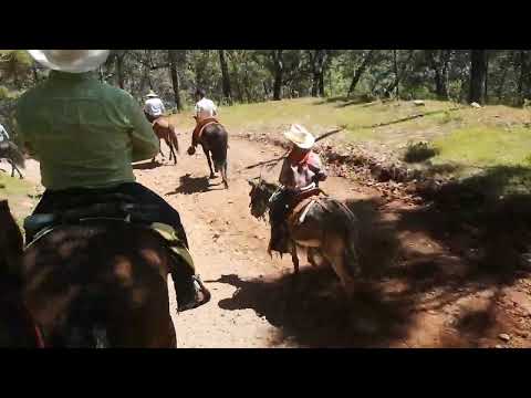 cabalgata surutato 2022