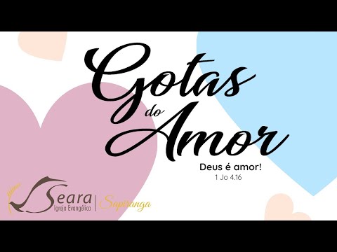 Decida amar  I  Sandra L. Böes