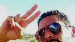 Un arbol en mi acuario