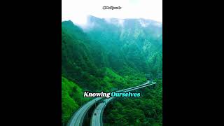Download lagu 'The Pain of Existing Without Purpose | Fernando Pessoa’s Most Haunting Words' mp3