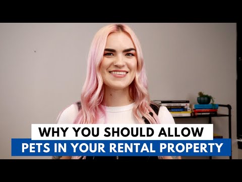 Why You Should Allow Pets in Your Rental Property
