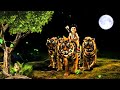 Ayyappan Song Whatsapp Status Tamil Lyrics Aanai Puli Aadi Varum Kattula Rtvgold4903