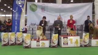 Budapest CACIB 15.02.2014 Best in Show programm