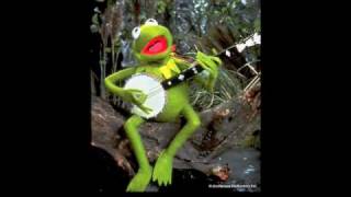 Kermit The Frog Covers The Whiskey Saints