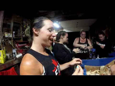 download lagu mp3 mp4 Chestico Days, download lagu Chestico Days gratis, unduh video klip Chestico Days