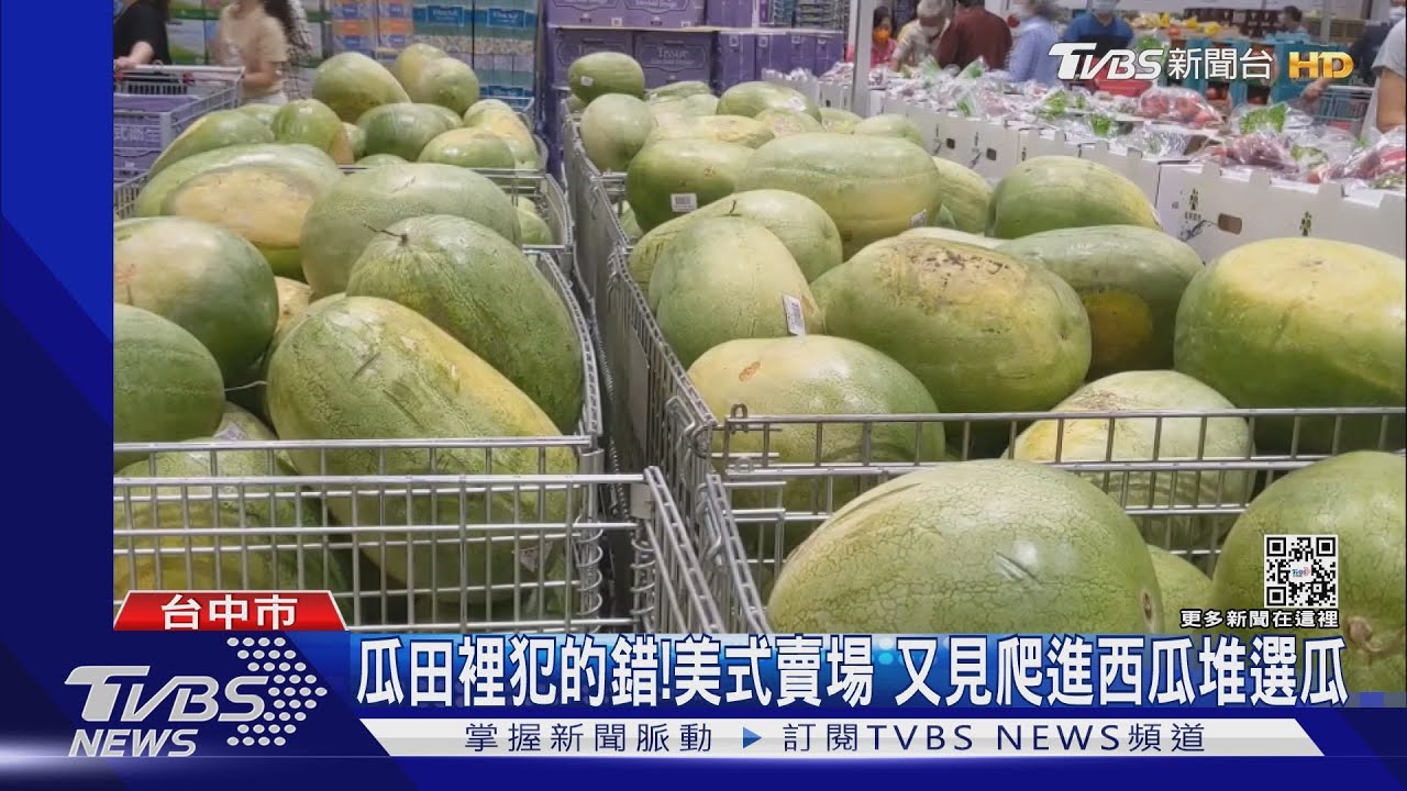 好市多巨嬰?西瓜區被當「球池」 男攻頂西瓜山挑瓜 網:用生命在挑