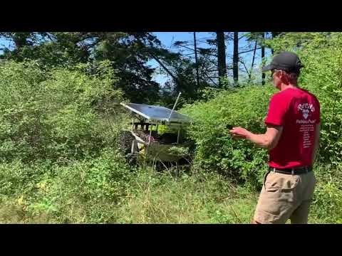 Autonomous Electric Tractor Mowing Heavy Brush, 100% Solar, in Challenging Terrain