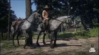 RED DEAD ERA UMA VEZ NO VELHO OESTE E CONTINUAÇAO