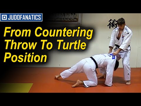 From Countering Throw To Turtle Position by Noël van t End