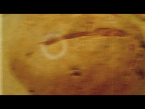 210416 Agrárinfó Balogh Brigitta