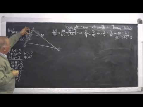1/2 Lectia 756 - Teorema lui Thales Scoaterea si introducerea sub radical Modulul - Clasa 7