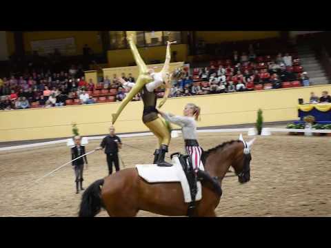CVI Flyinge 2018 Juniorteam Schenkenberg 1