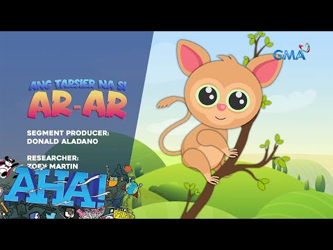 AHA! Storytime – Ang tarsier na si Ar-ar AHA!