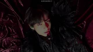 BTS - Singularity (Legendado/Tradução)
