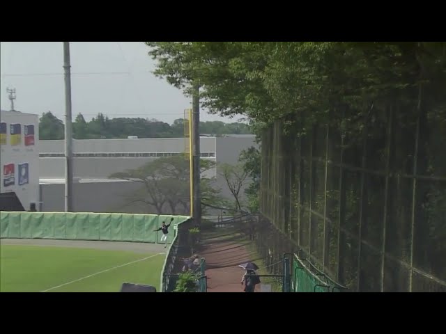 【ファーム】マリーンズ・三家 フェンス際のボールをナイスキャッチ‼ 2019/6/20 L-M(ファーム)