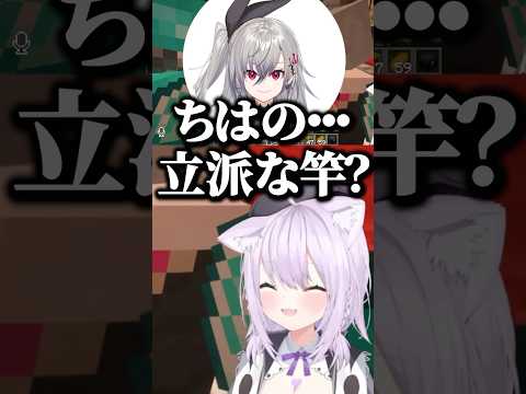 おかゆんに貰った\立派な竿\を自慢するちはや【ホロライブ切り抜き/猫又おかゆ/輪堂千速/響咲リオナ/NekomataOkayu/RindoChihaya/IsakiRiona】