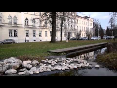 Jegličev dijaški dom  - 2015