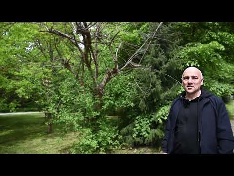 Krystyna Czubówna i Park Goepperta w Szprotawie