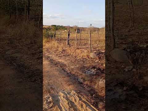 Organizando a chácara para o Primeiro  encontro de Influenciadores de são José dos Cordeiros Paraíba