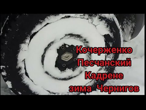 Саженцы Грецкого ореха Кочерженко,Песчанский, Кадрень зимой, Чернигов t-3. 겨울에 월넛 묘목, Chernihiv t-3.