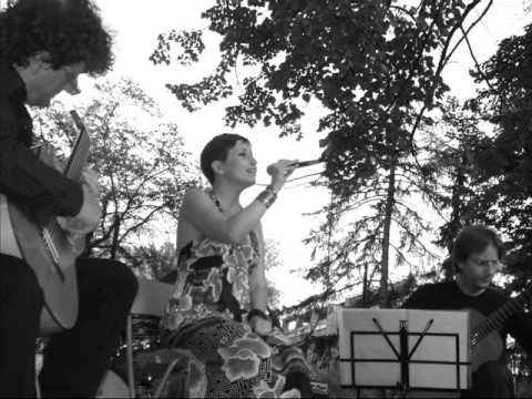 BossaBarrique - Agua De Beber