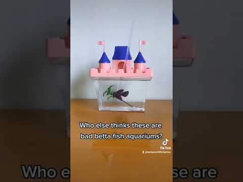 These under 1 gal aquariums are marketed specifically for bettas (they need 5+gal, filter & heater)