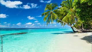 Apple - It's Paradise (Violin Club Mix)