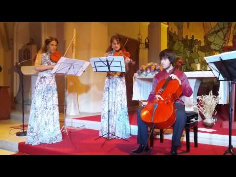 VELJAK STRING QUARTET   J  Haydn Cello Concerto in C 1st mov HD